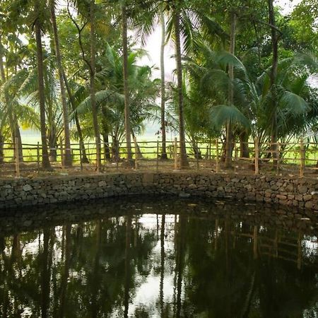 Heal Hive Homestay Palakkad Esterno foto
